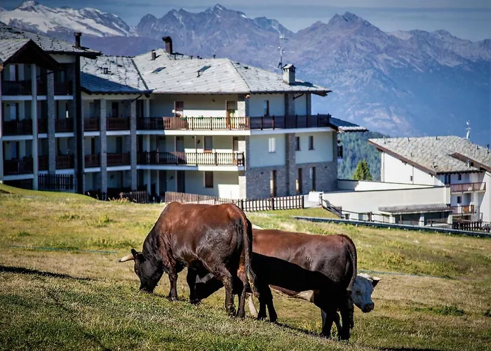 Apartamento Bellevue *